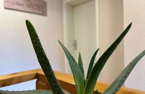 Suite 2 SZ- Lichtenberg - Foto 21