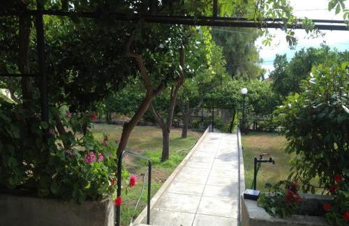 Soile Georgia - Photo 18