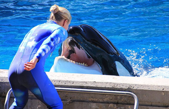 AQUATICA SAN ANTONIO - Photo 3