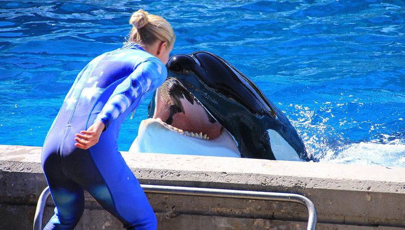 AQUATICA SAN ANTONIO - Photo 3