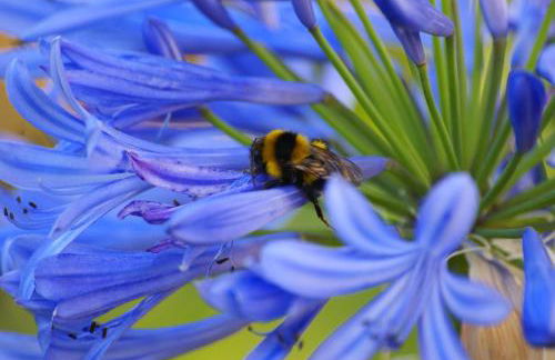 Torre Bella Gardens - Foto 50