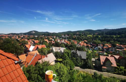 Apartments Villa-Ratskopf Wernigerode - Photo 13