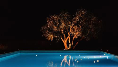 La Dolce Villa - Photo 3