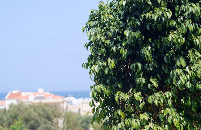 Chill & Relax Home with Pool near Beach - Foto 39