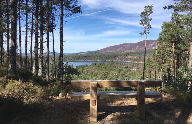 Lower Curr - Foto 35