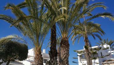 Apartamento Puesta De Sol - Foto 5, Garden