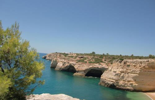 Quinta Do Torrejao - Foto 13