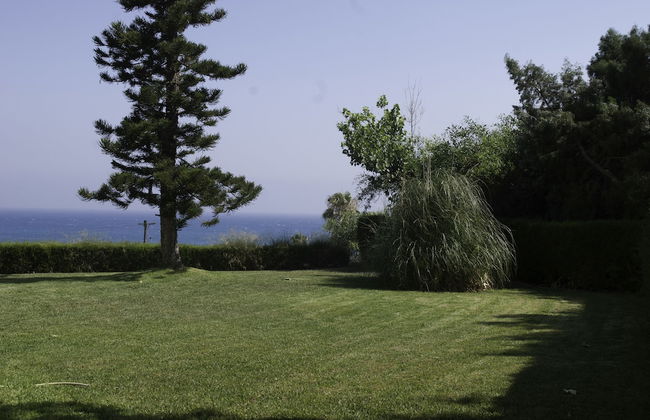 Kotzias Hotel Apartments - Foto 24