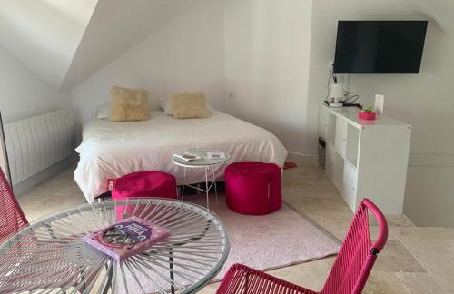 CASABINA Appartement entre Disney et paris - Foto 120