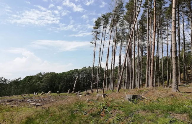 6 Person Holiday Home in Fjallbacka - Foto 13