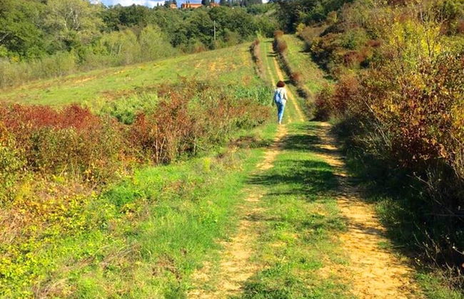 Da Tilli alla Fornace - Foto 28