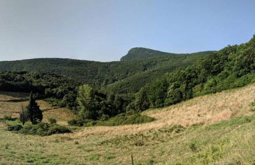 Le Belvedere - Foto 4