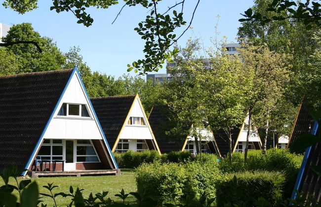 Ferienhaus im Ostseeresort Dampland - Foto 32