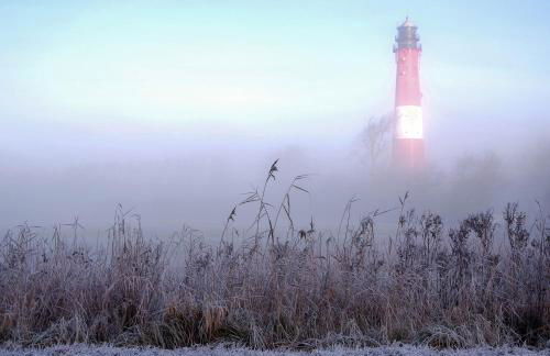 Klaus Jensen , Unter den Linden - Foto 58
