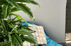 Casa Cristal - Foto 50