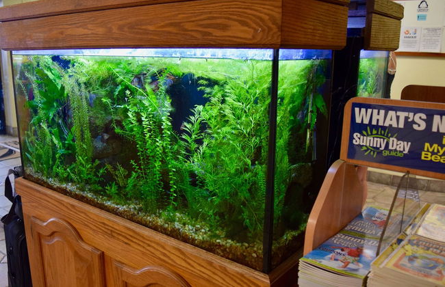 Schooner II Beach and Racquet Club - Photo 33