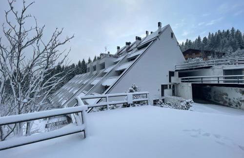 Stella Alpina San Martino di Castrozza vista Pale - Foto 18