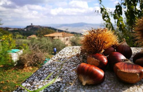 I Castagnini - Foto 20