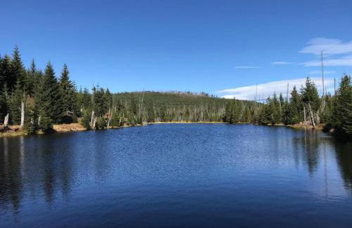 Landurlaub bei Familie Haug - Foto 27
