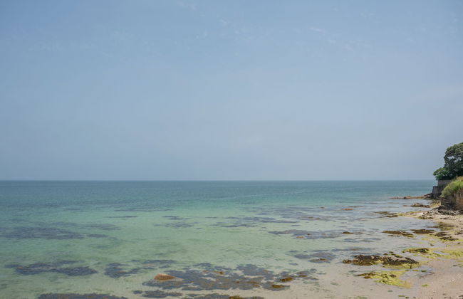 Domaine de la Greve - Photo 16