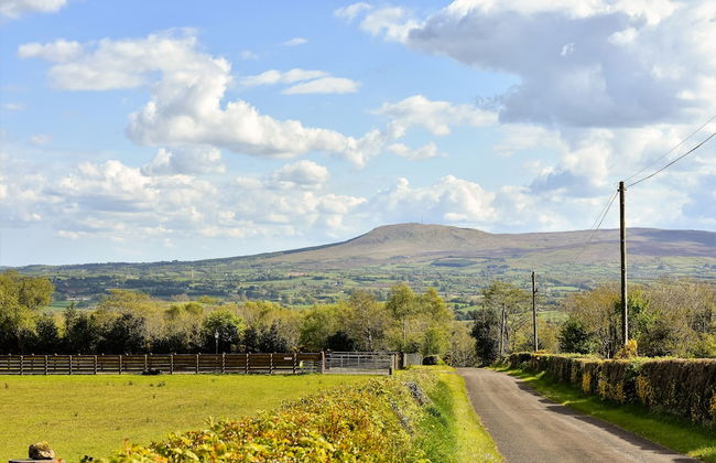Glenshane Country House - Foto 28