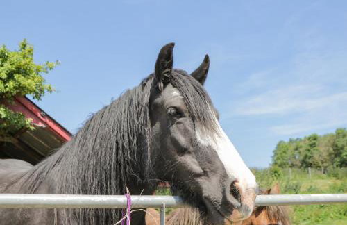 Foulsyke Farm Bungalow - Foto 5