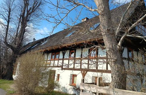 Smocza Chata - Foto 2