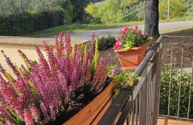 Casa Cornelia - Foto 10