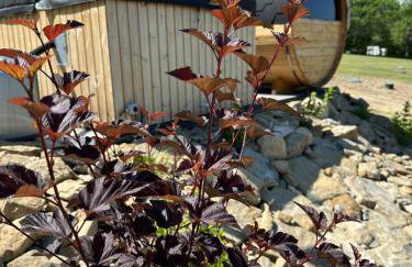 Beskidzki Zakątek Krynica-Zdrój - Photo 53