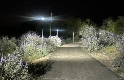 RiverFront Retreat- Spa/Hot tub, Game Room, Limited Gym - Foto 45