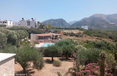 Cuckoo's nest - Photo 12