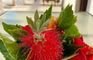 El Riuet-Chalet apartamento a 1 minuto de la playa, Cullera - Foto 12