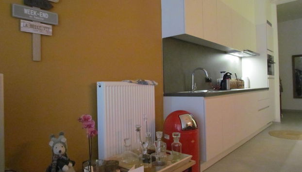 Apartment With Private Terrace in Blankenberge - Foto 5, Cocina privada