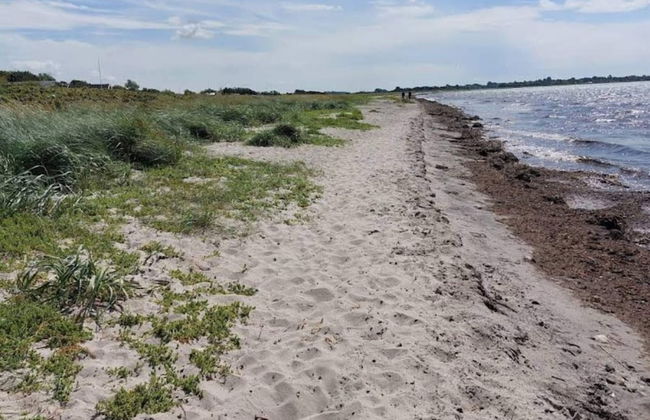 4 Star Holiday Home in Korsor - Foto 25