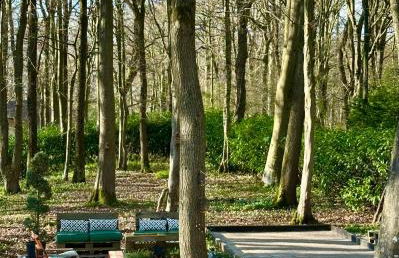 LA FEUILLÉE, Charmante Maison au Bois de Cise - Foto 37