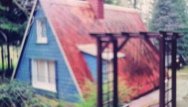 Abenteuerurlaub im Tannenwald - Foto 2