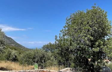 Popi s house - Photo 32