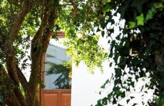 Giannakis' Filoxenia - Foto 28