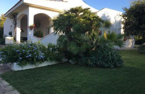 Villa sul mare Rosa Marina - Foto 10