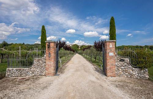 APPARTAMENTO CASA VACANZA AGRITURISMO BORGO di CALMASINO - Foto 24