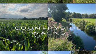 Idyllic Barcombe cottage near South Downs National Park - Foto 4