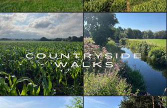 Home from Home in Barcombe East Sussex - Photo 21