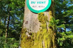 Appartement idéal au calme ! - Foto 28