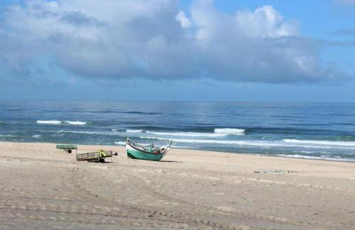 Bela Vista Barrinha - Foto 16