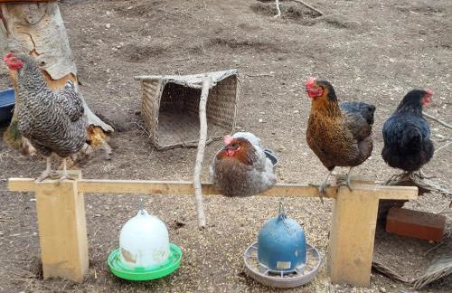 am Balkon des Erzgebirges - Foto 29