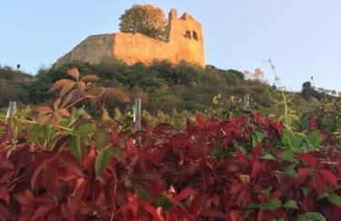 Apartment Kaminblick EuropaPark in ca 15 min erreichbar - Foto 58