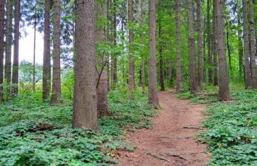 FeWo am Pochwerk-Badeteich - Foto 38
