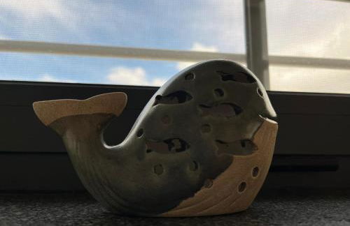 Cantinho da Maresia - Foto 65