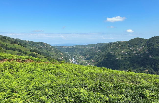 Kalivi Suit Bungalov - Foto 42