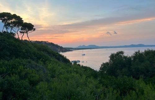 Lovely Appartment in Cap Sa Sal - Foto 25